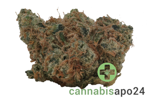 Origine Nature Chem 29/1 - Chem Dawg OG