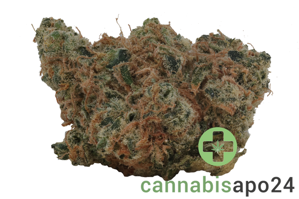 Origine Nature Chem 29/1 - Chem Dawg OG