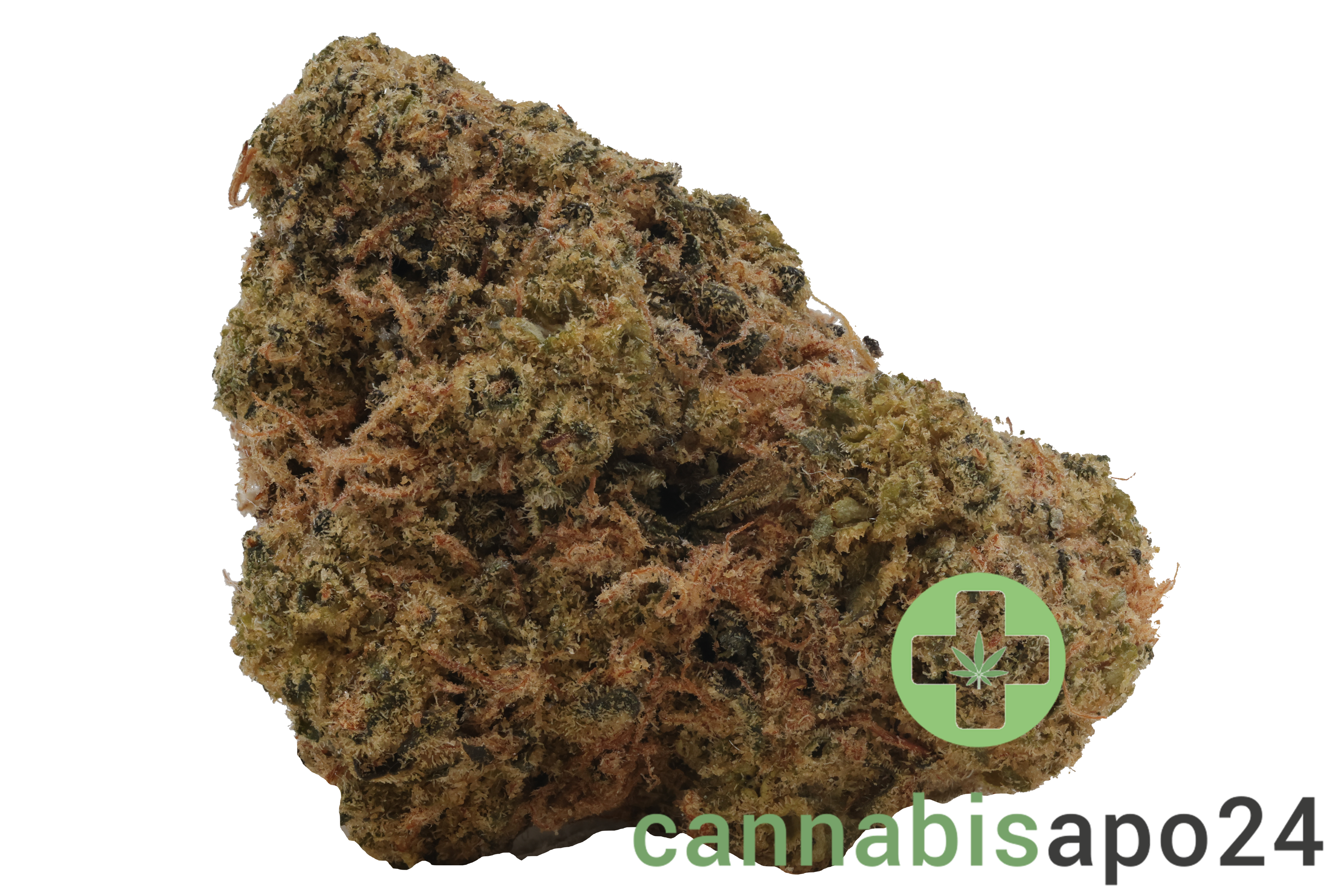 Origine Nature Med 32/1 Medellin