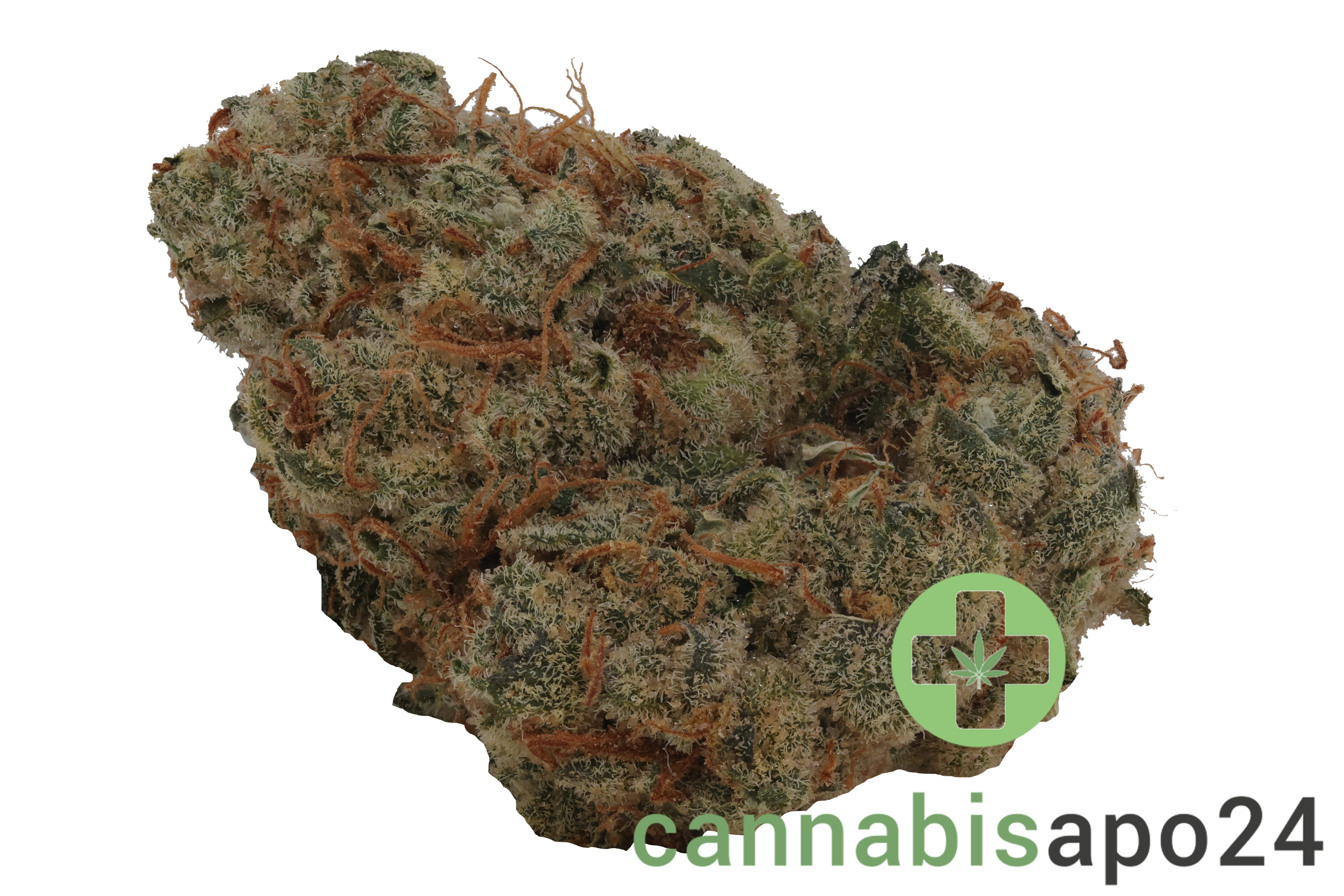 Patagonia JP10 34/1 - Jokerz Pop #10