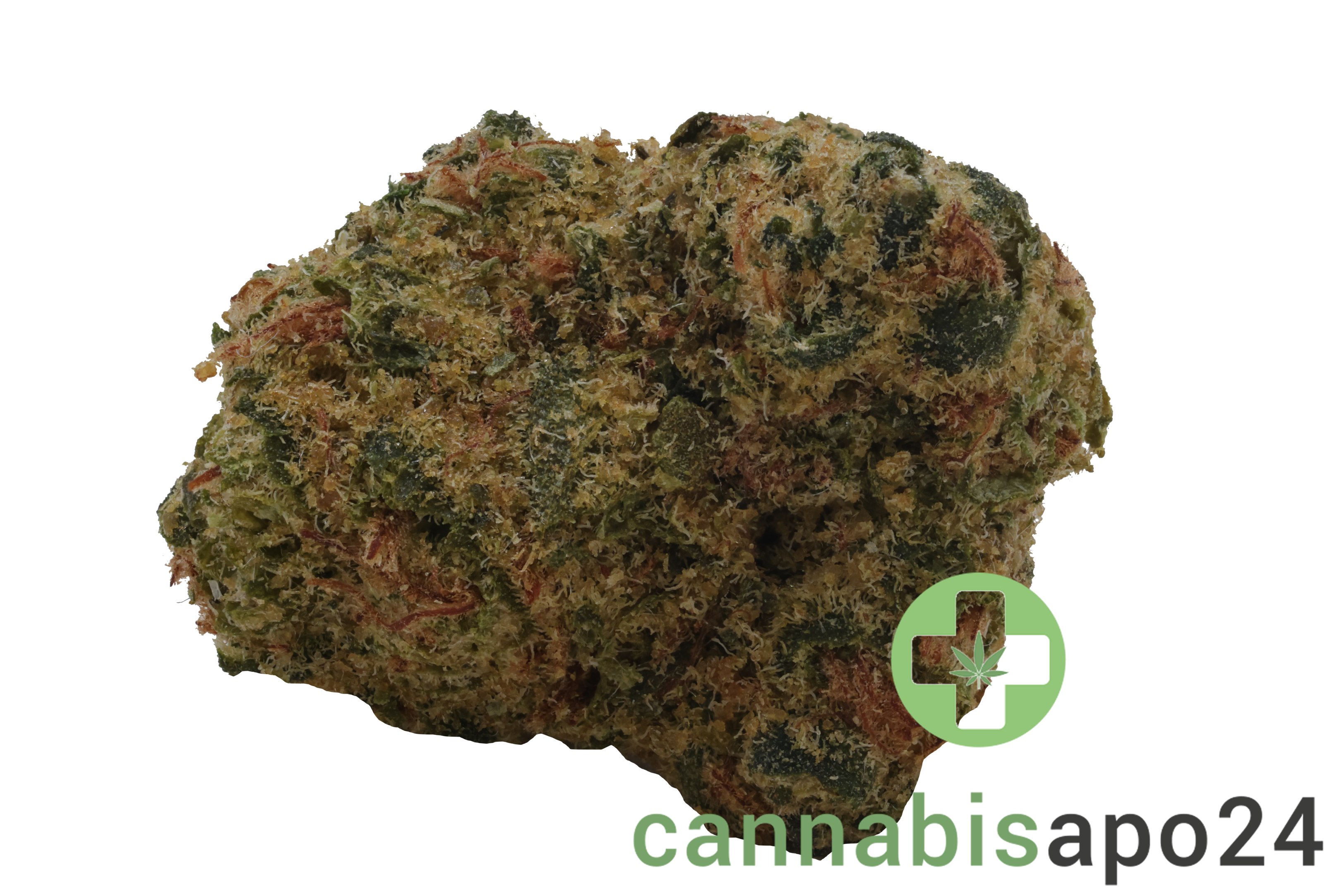 Petit Vert 24/1 GTE KCO Kush Cookies
