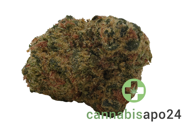 Petit Vert 24/1 GTE KCO Kush Cookies