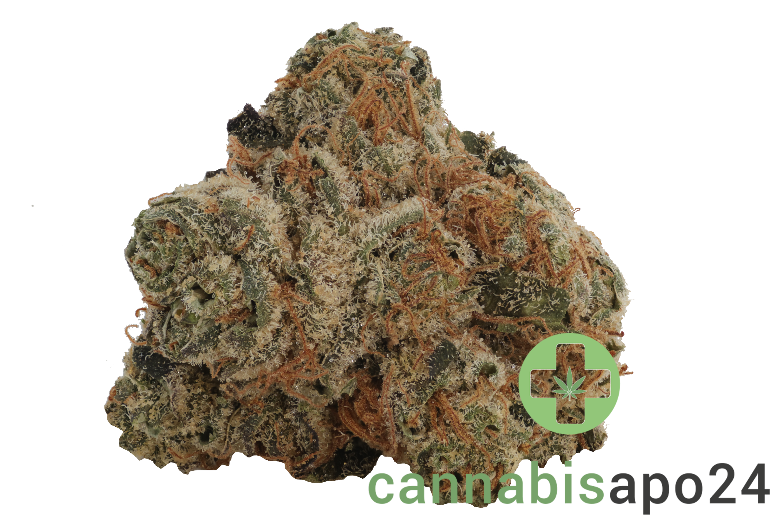 PHCANN Exotics 26/1 Red Pop