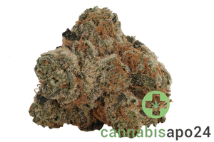 PHCANN Exotics 26/1 Red Pop