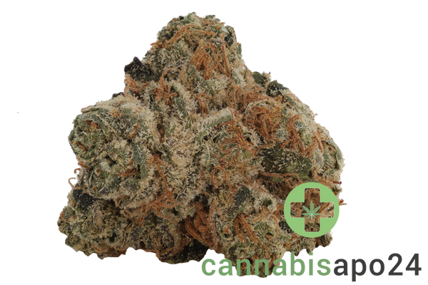 PHCANN Exotics 26/1 Red Pop