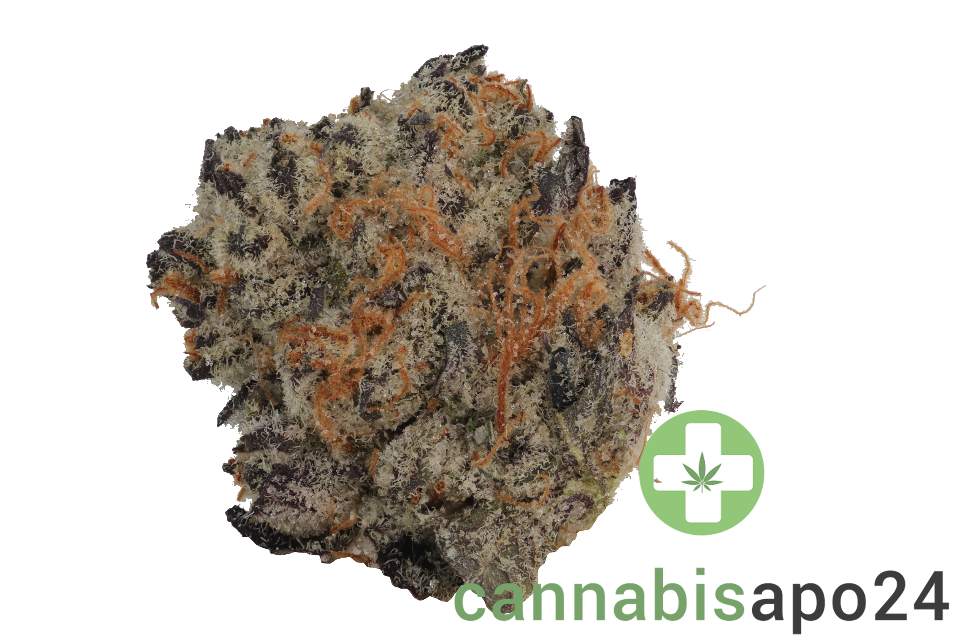 PHCANN Exotics 30/1 Black Amber