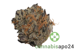 PHCANN Exotics 30/1 Black Amber