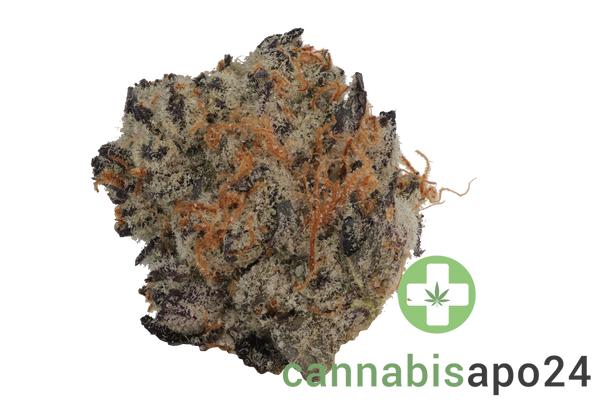 PHCANN Exotics 30/1 Black Amber