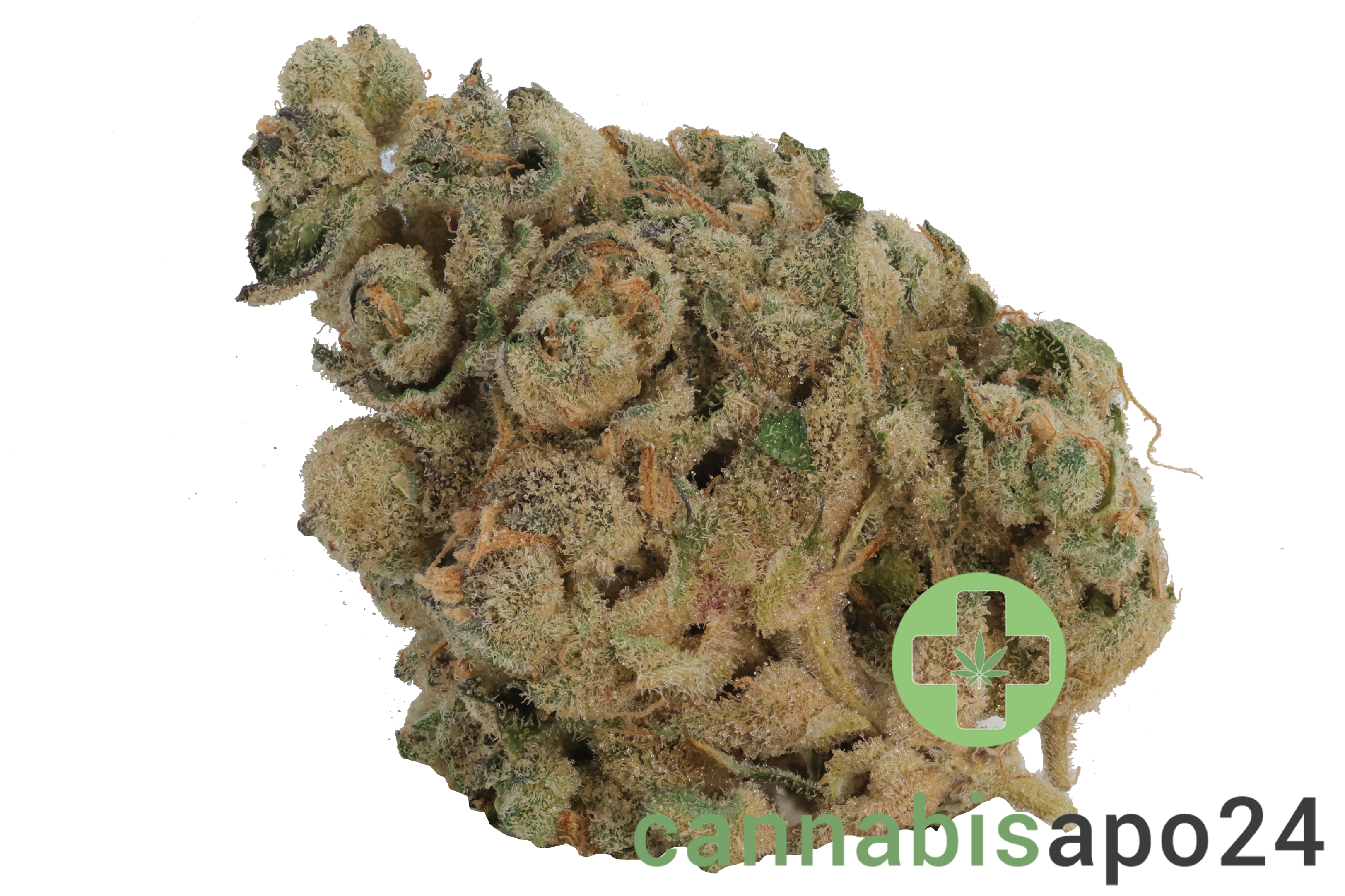 PHCANN Exotics 30/1 Spritzer