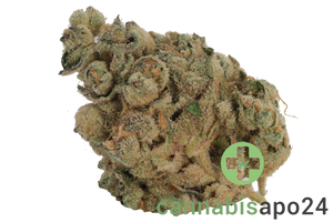 PHCANN Exotics 30/1 Spritzer