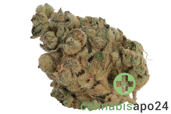 PHCANN Exotics 30/1 Spritzer