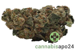 Redecan THC30 BRZ Biscuit RNTZ