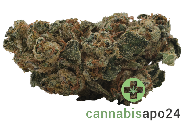 Redecan THC30 BRZ Biscuit RNTZ
