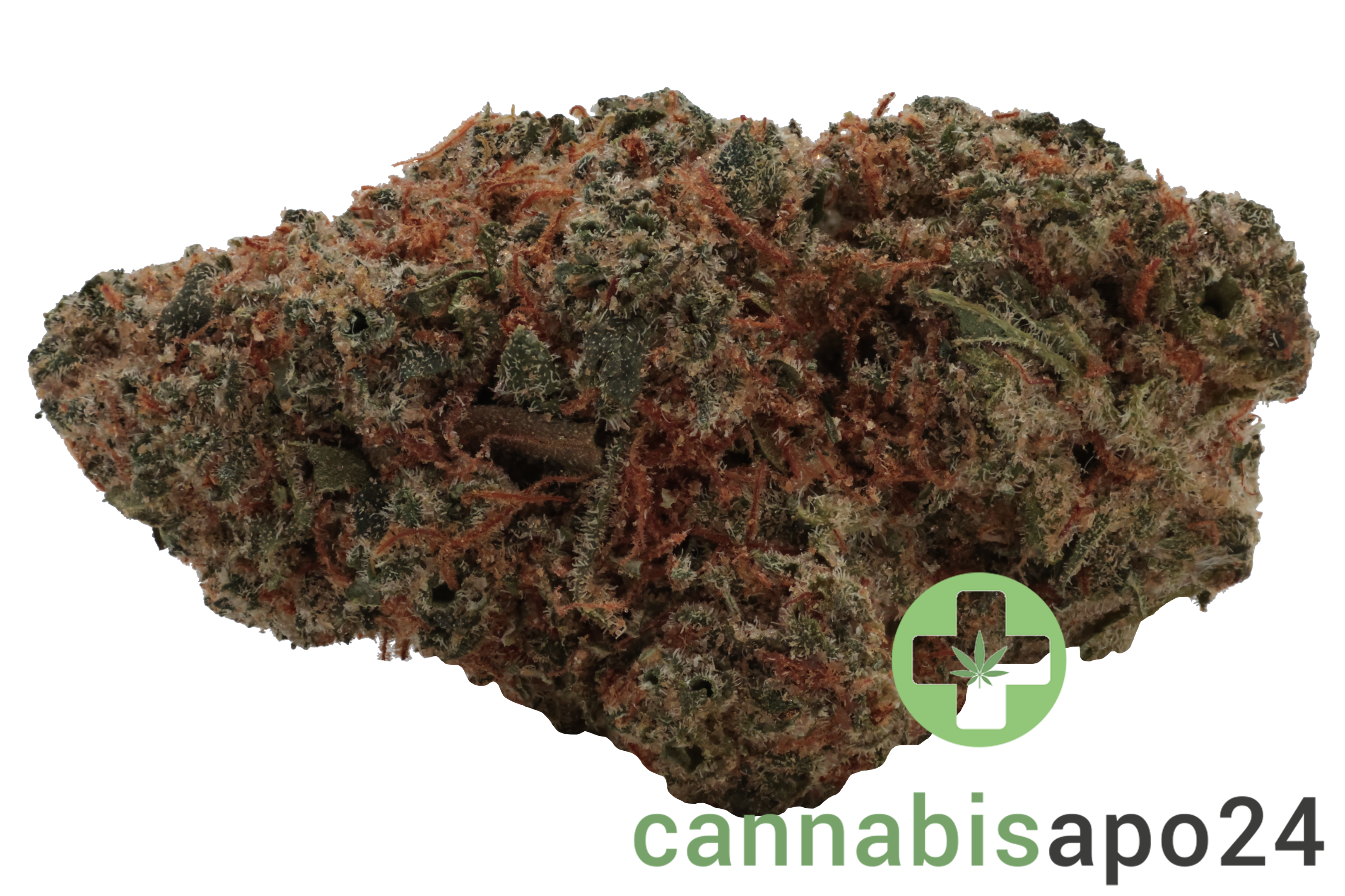 Remexian 30/1 GJY CHO Chocolate Kush