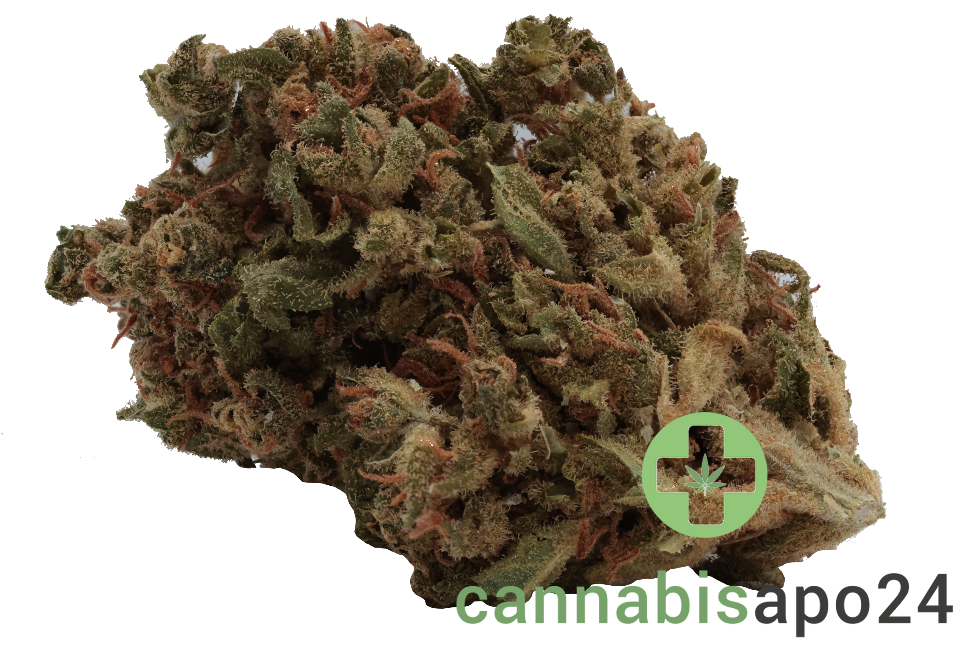 Remexian 15/1 LUX AMA Amsterdam Amnesia