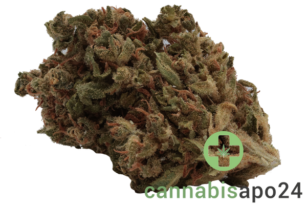 Remexian 15/1 LUX AMA Amsterdam Amnesia