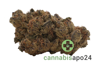 Remexian 18/1 ALL ASH Amnesia Haze