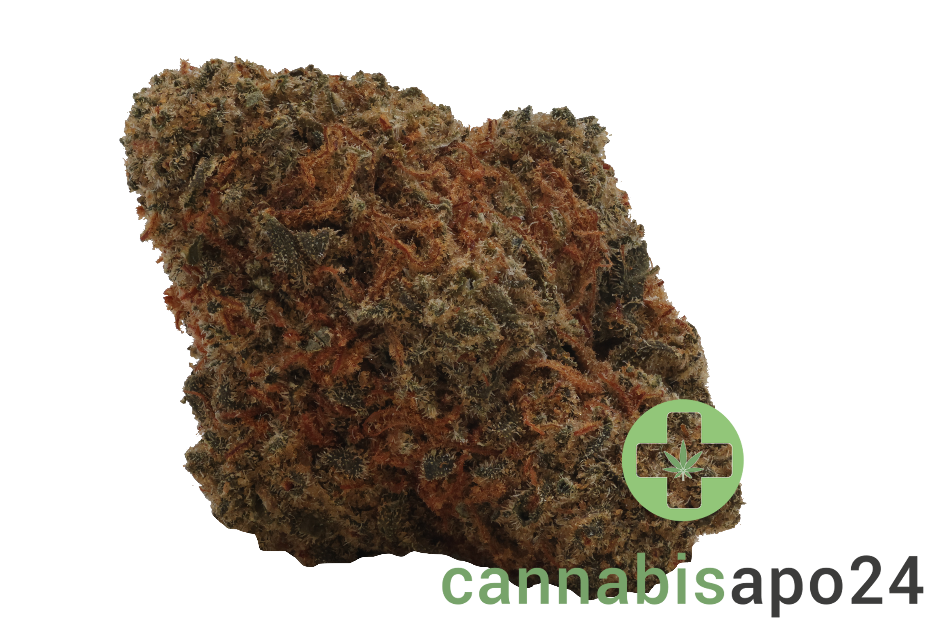 Remexian 20/1 GJY CHO Chocolate Kush