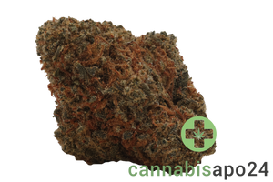 Remexian 20/1 GJY CHO Chocolate Kush