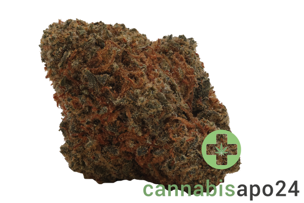 Remexian 20/1 GJY CHO Chocolate Kush