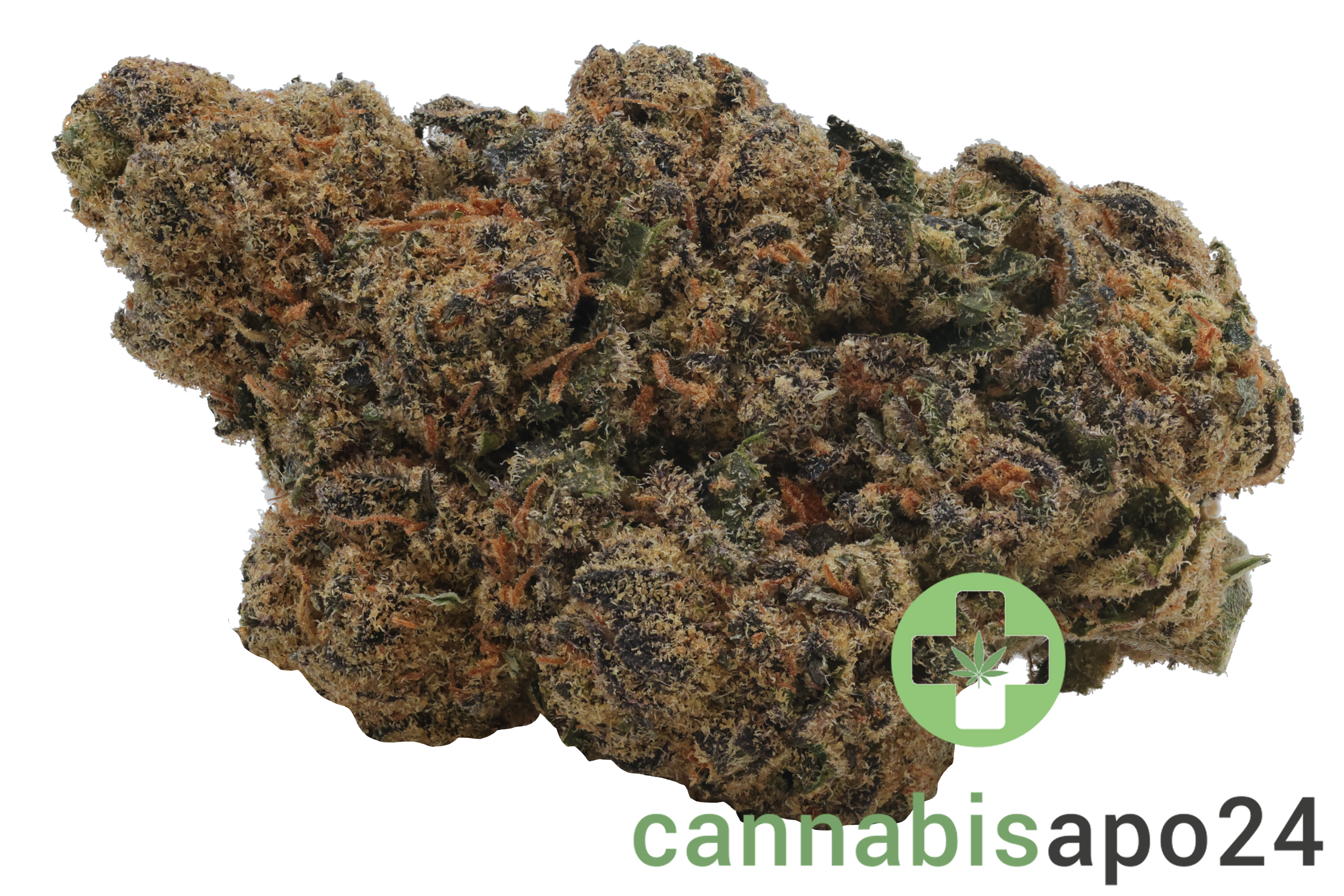 Remexian 20/1 HCC ALP Afterlight Premiere