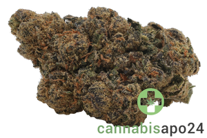 Remexian 20/1 HCC ALP Afterlight Premiere