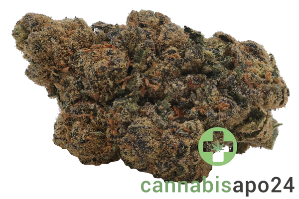 Remexian 20/1 HCC ALP Afterlight Premiere