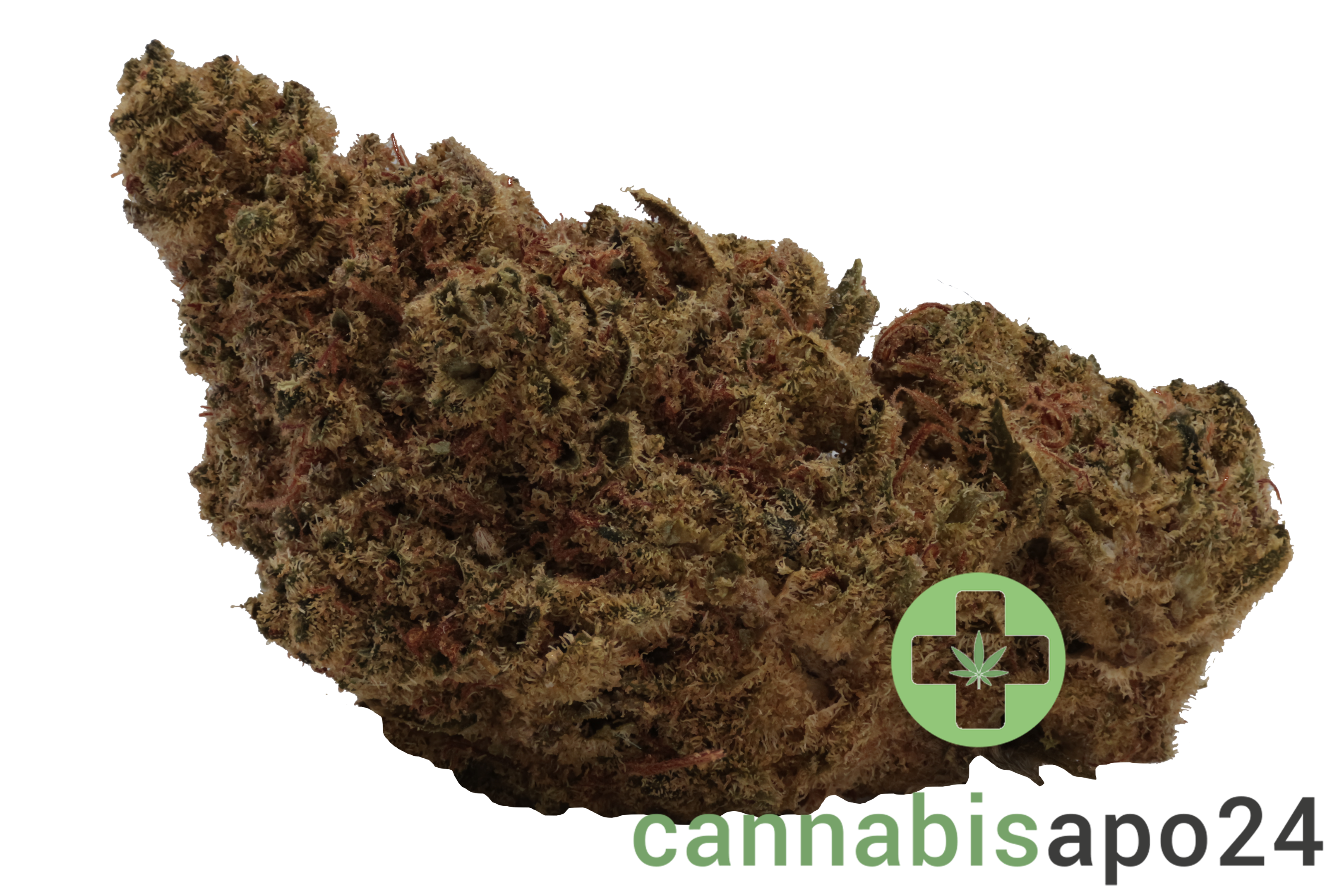 Remexian 21/1 CHR CIB Citrus Bowl