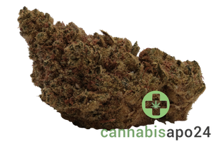 Remexian 21/1 CHR CIB Citrus Bowl