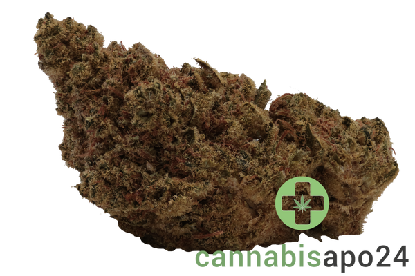 Remexian 21/1 CHR CIB Citrus Bowl