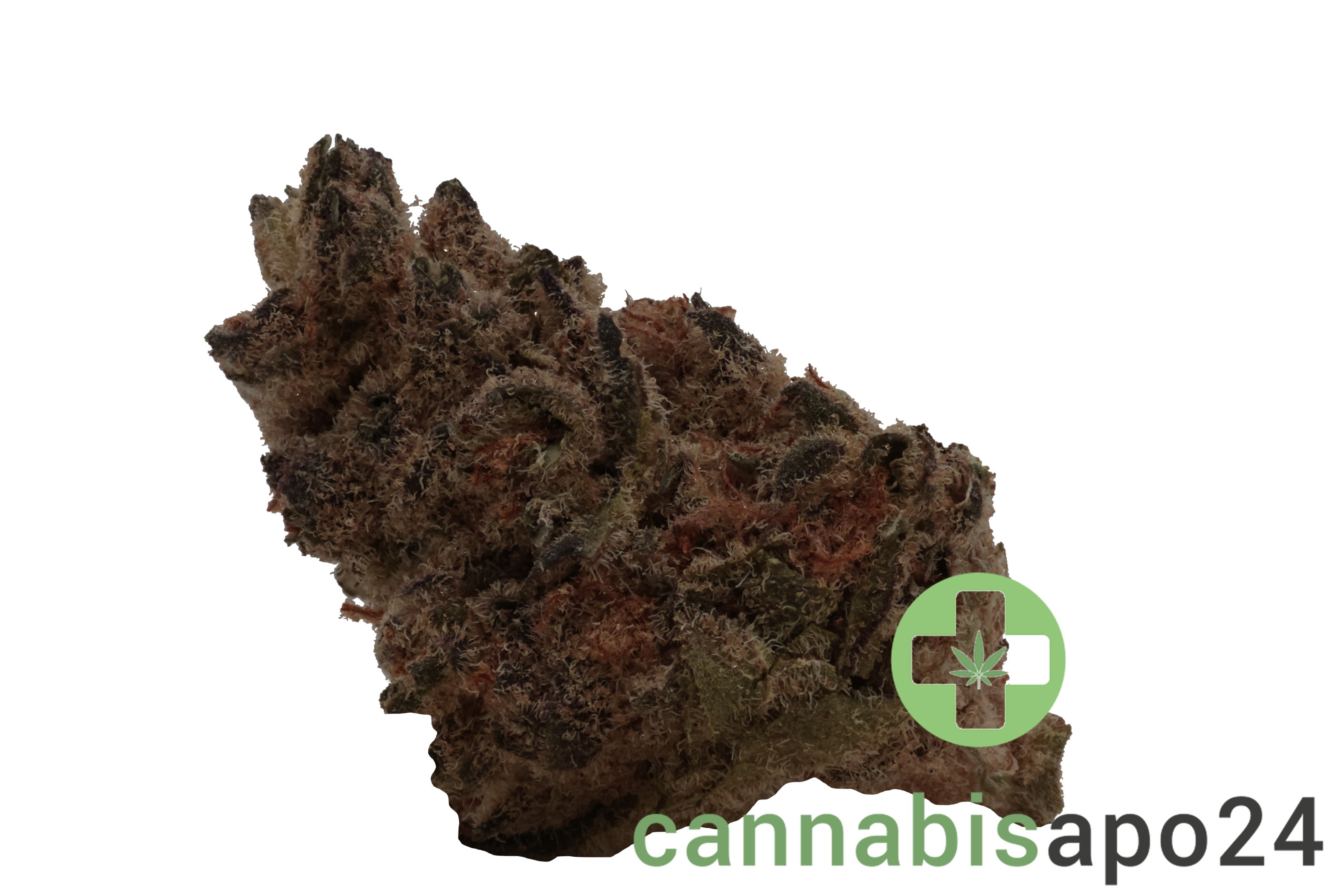 Remexian 21/1 RAS ALB Astral Berry