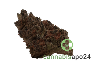 Remexian 21/1 RAS ALB Astral Berry