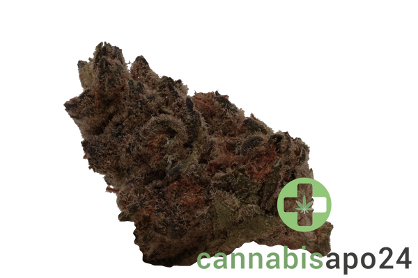 Remexian 21/1 RAS ALB Astral Berry