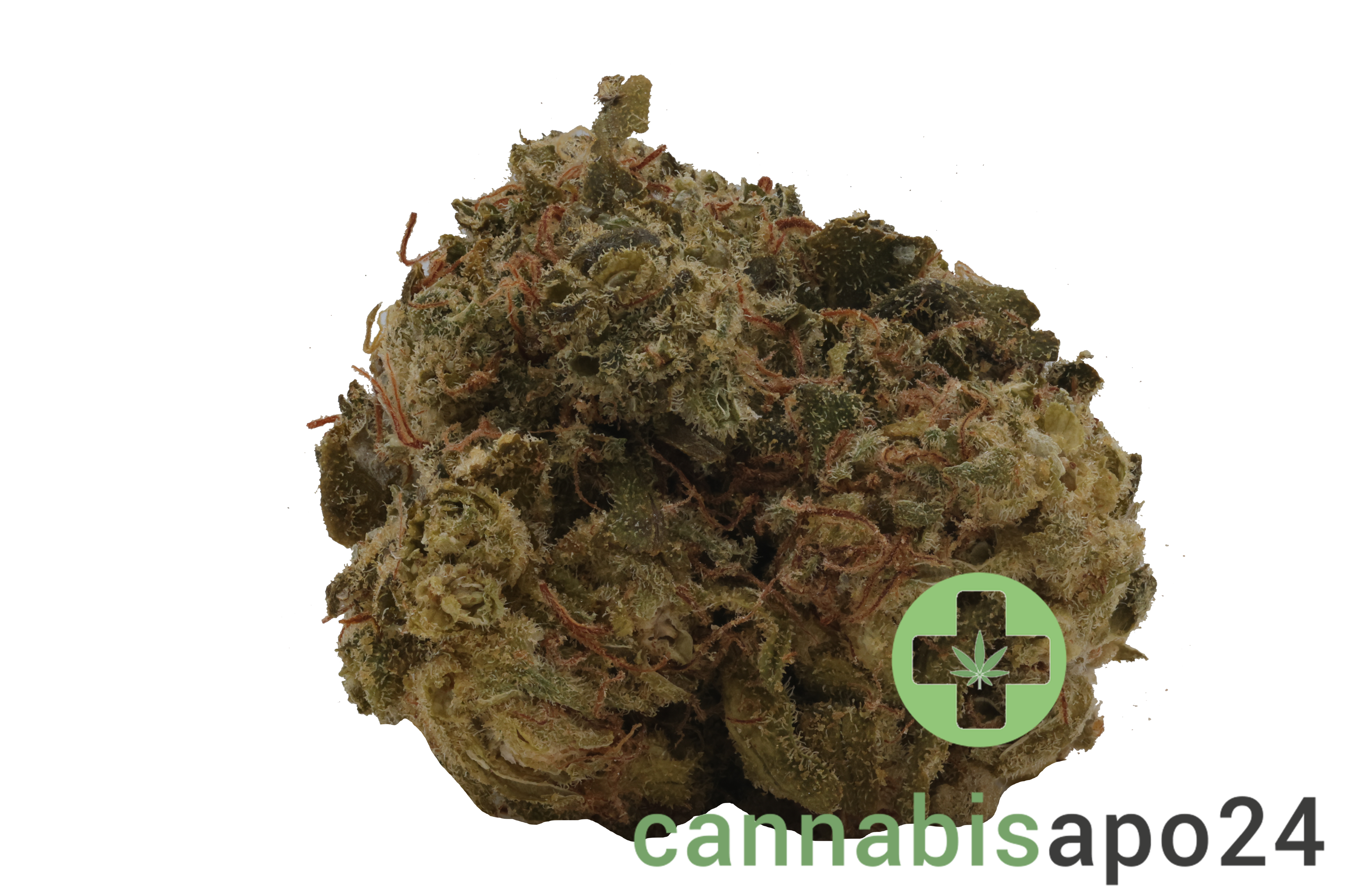 Remexian 21/1 TCG JCK Jack Herer