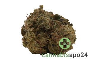 Remexian 21/1 TCG JCK Jack Herer