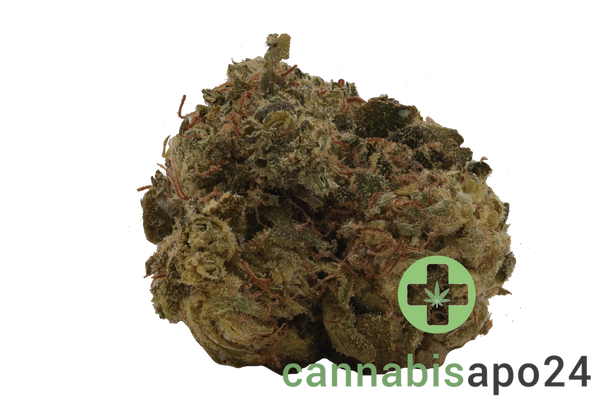 Remexian 21/1 TCG JCK Jack Herer
