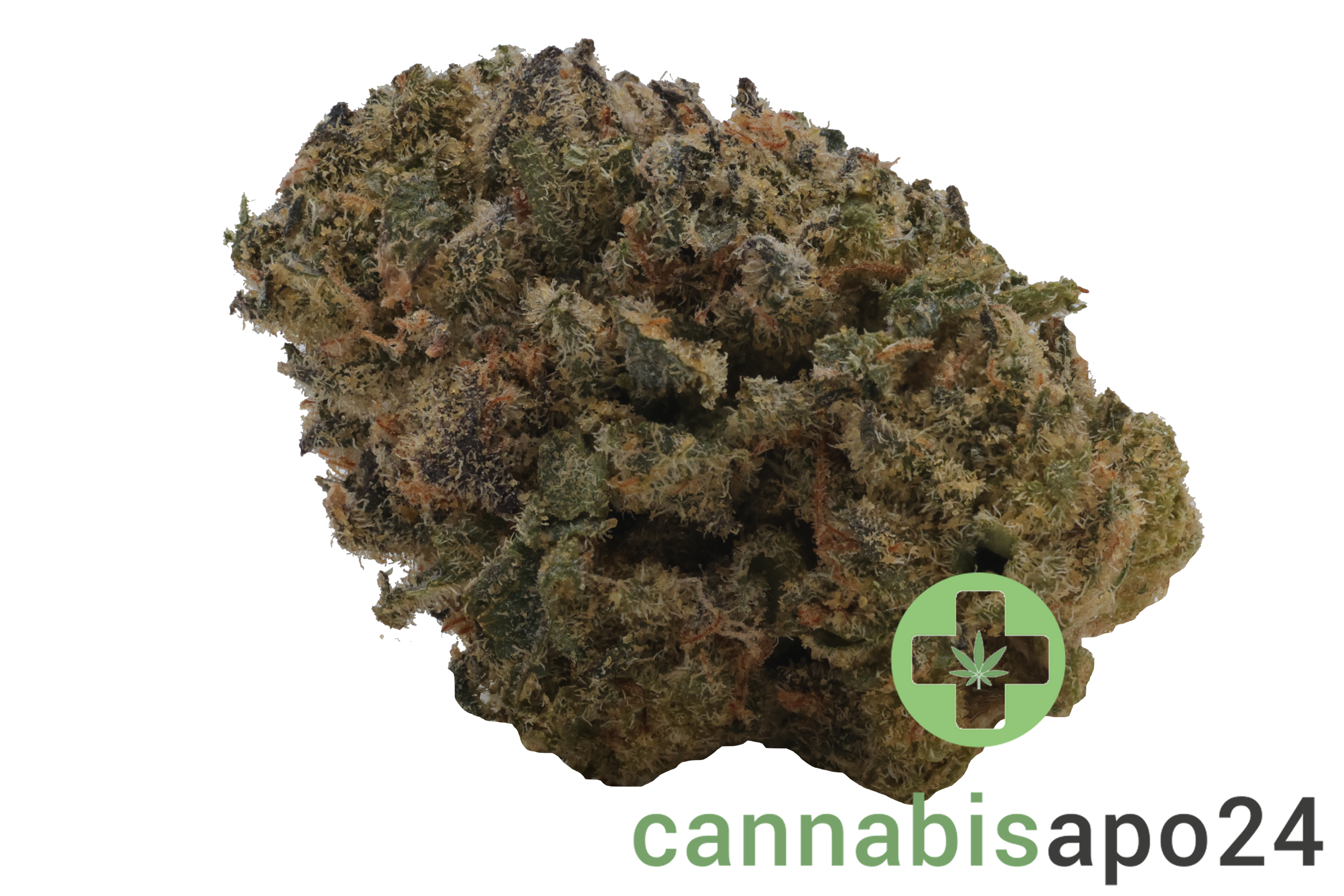 Remexian 21/1 TRF BUH Burning Hat