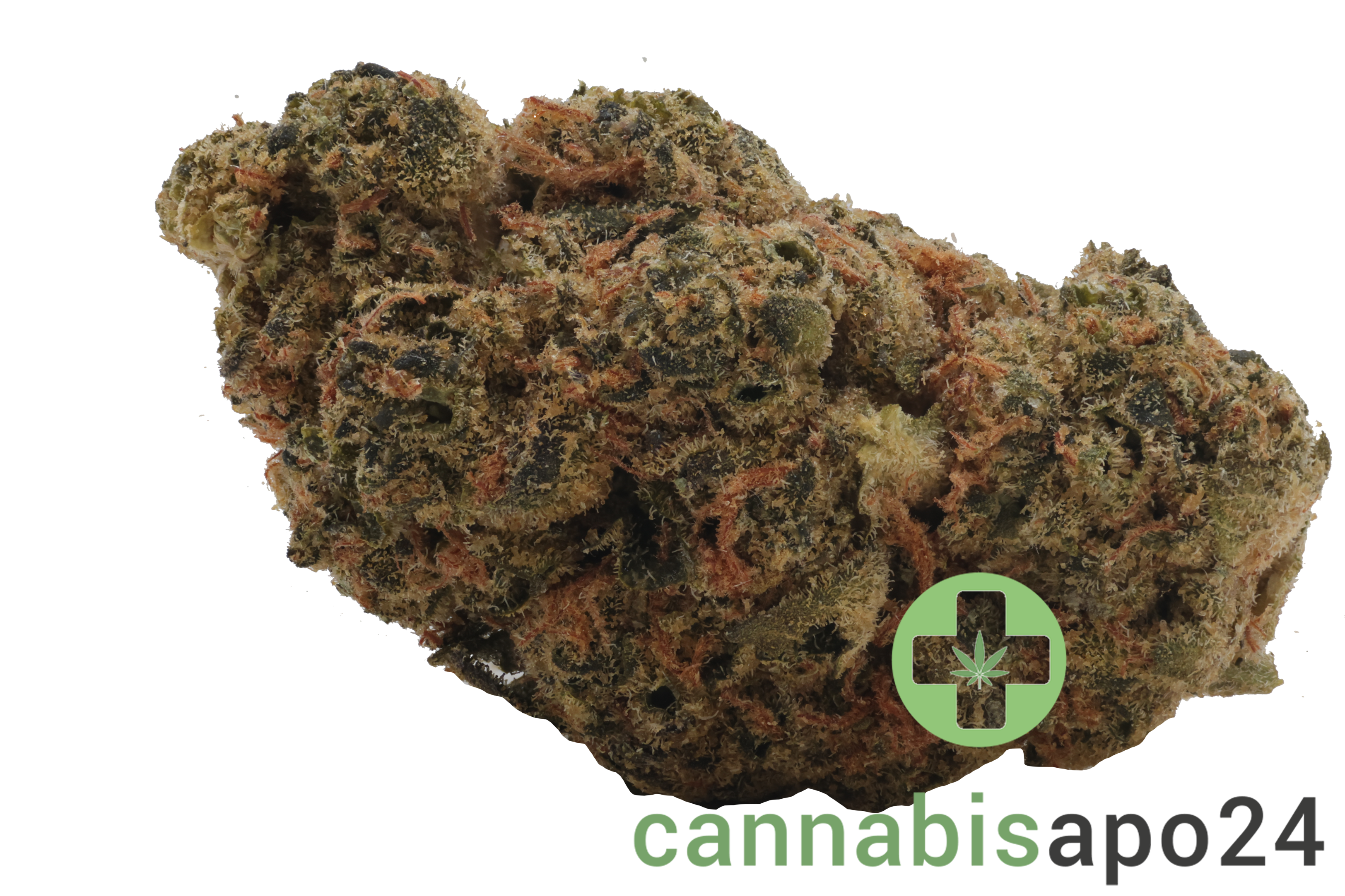 Remexian 24/1 IRC VVP Velvet Pie