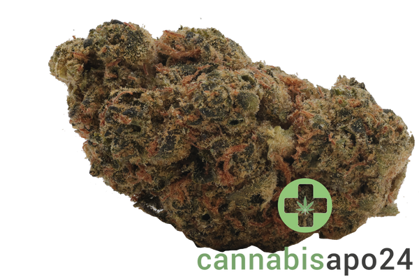 Remexian 24/1 IRC VVP Velvet Pie