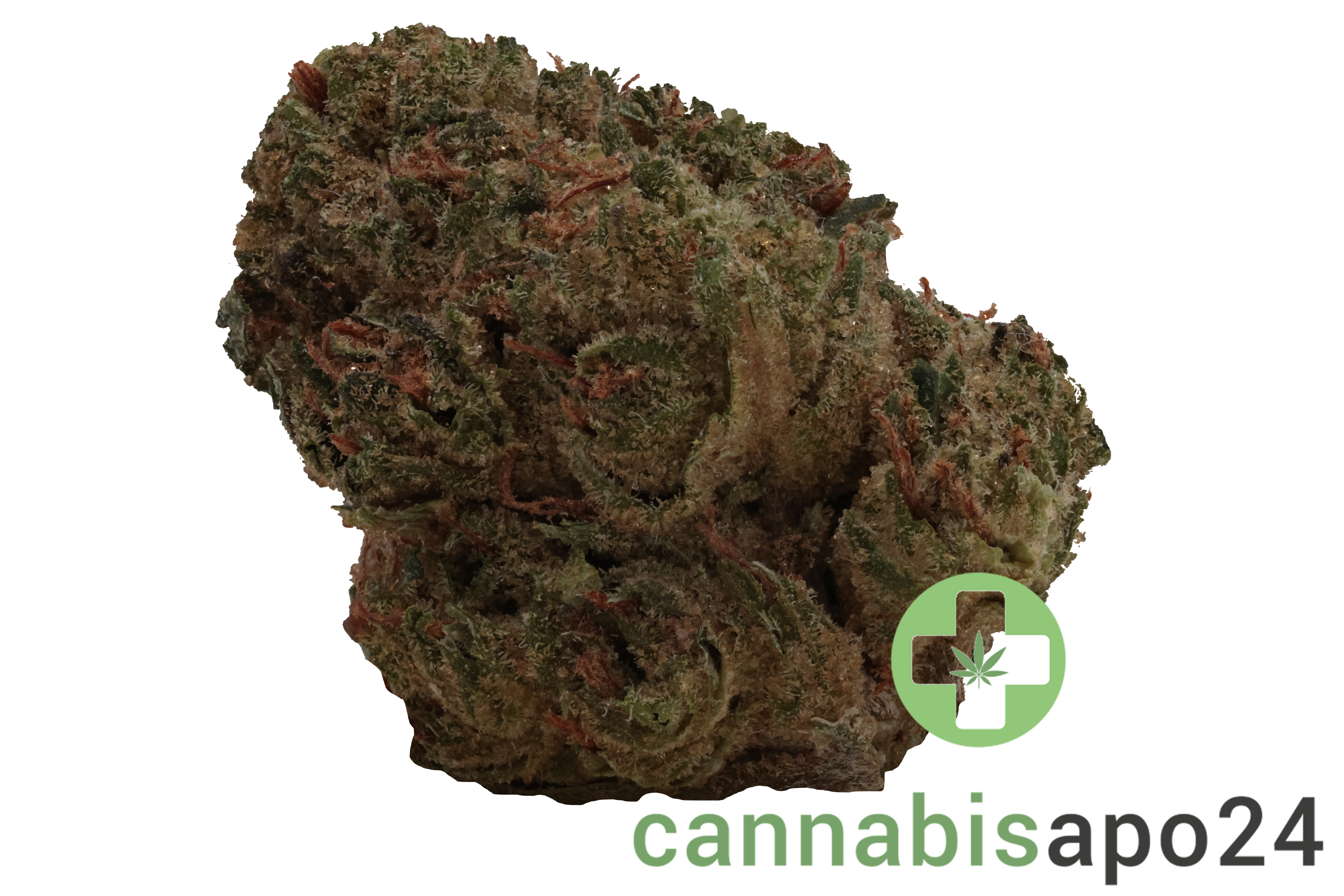 Remexian 25/1 BSM Biscotti Mintz