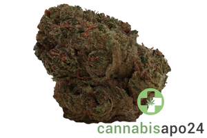 Remexian 25/1 BSM Biscotti Mintz