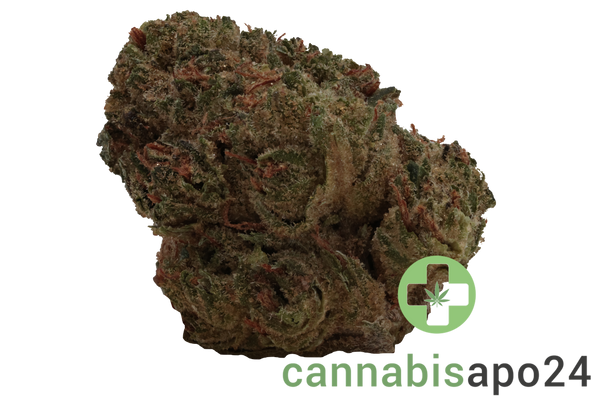 Remexian 25/1 BSM Biscotti Mintz