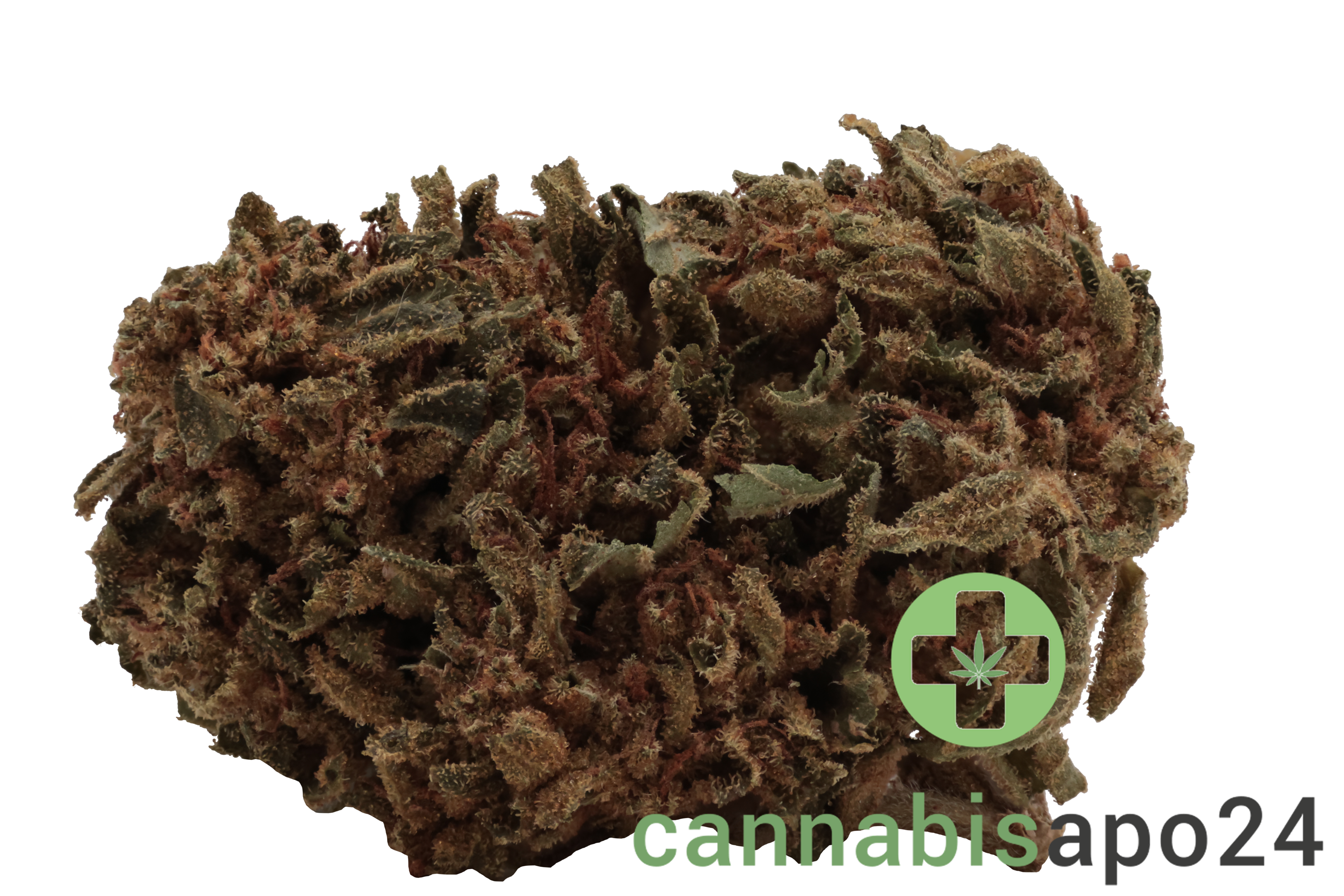 Remexian 27/1 CAL PTS Phantom Shape