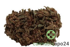 Remexian 27/1 CAL PTS Phantom Shape