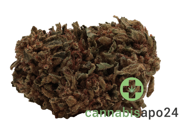 Remexian 27/1 CAL PTS Phantom Shape