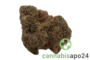 Remexian 27/1 CIV PKU Poison Kush