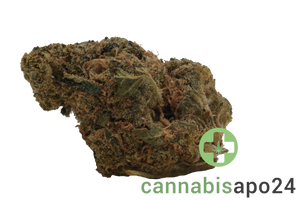Remexian 27/1 CRN PCO Pink Cookies