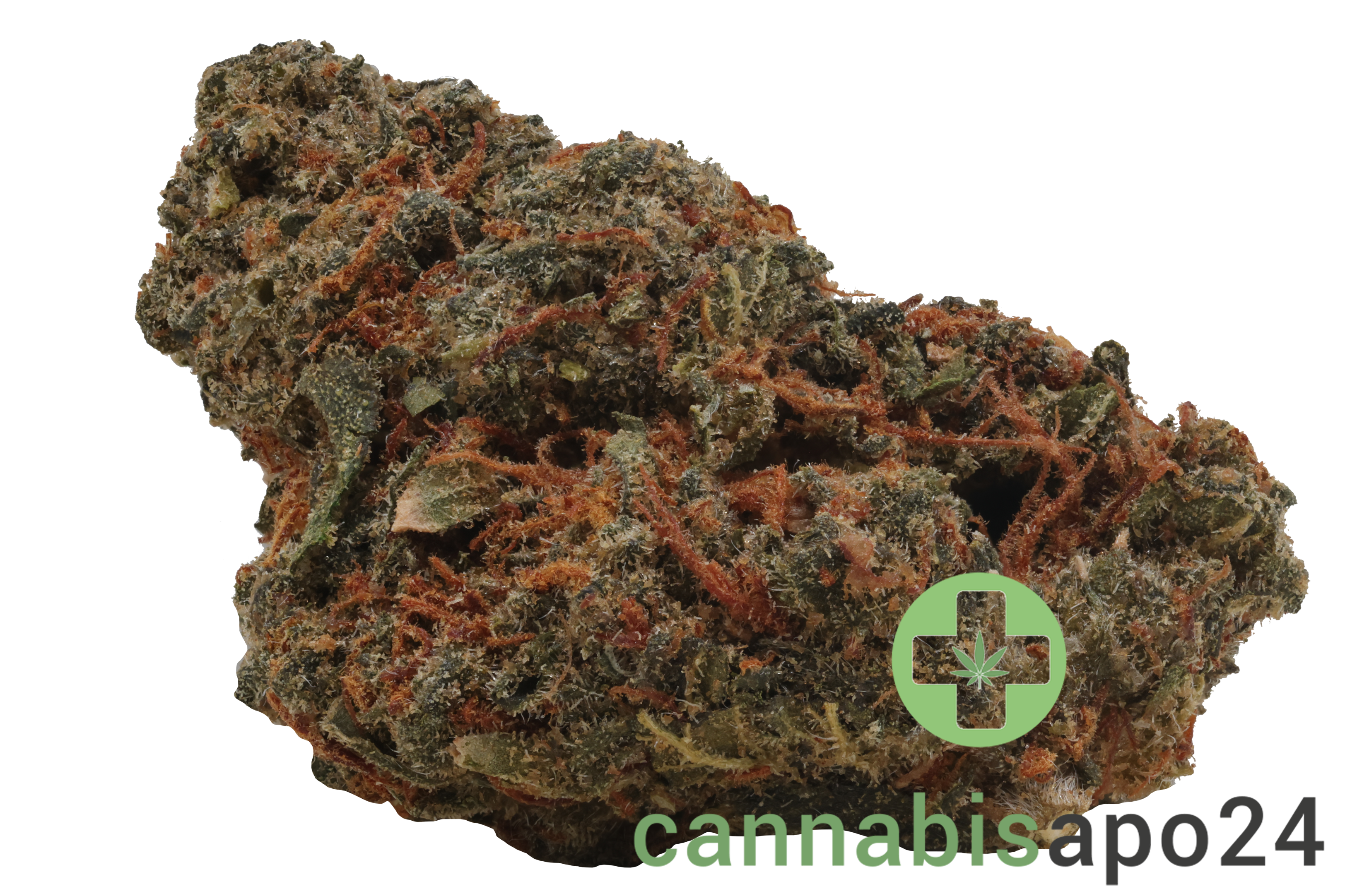 Remexian 27/1 GJY CHO Chocolate Kush