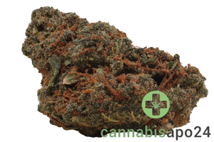 Remexian 27/1 GJY CHO Chocolate Kush