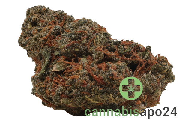 Remexian 27/1 GJY CHO Chocolate Kush